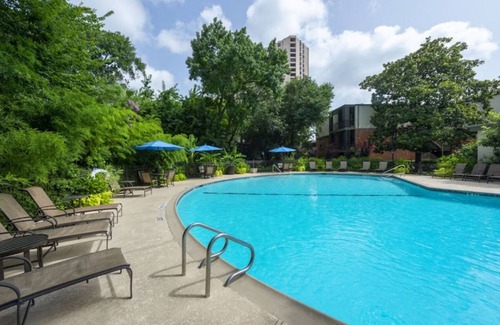 Houston Apartment | 1-bedroom apartment Cozy Luxe Stay Galleria Area