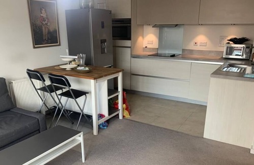 Tower Hamlets Apartment | 1 Bedroom Apartment in Mile End