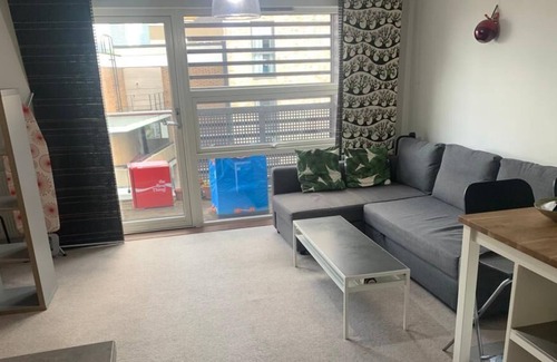 Tower Hamlets Apartment | 1 Bedroom Apartment in Mile End