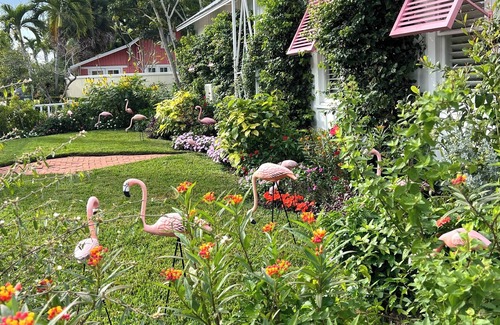 Old Naples Cottage | 1-bedroom cottage just a short walk to Naples Beach and Fifth Avenue South