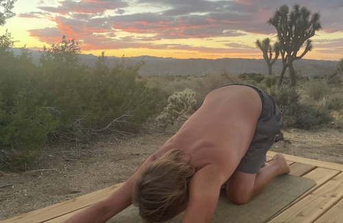 Yucca Valley Cottage | 1-bedroom cottage by Joshua Tree National Park entrance. AC, WiFi close to town
