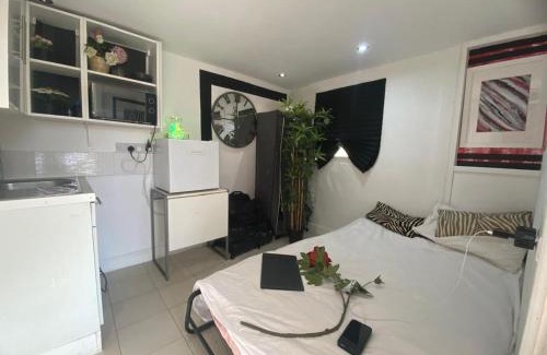Datchet Apartment | 1 Bedroom studio