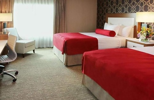 Atlantic City Hotel | 1-Bedroom Suite at a Hotel