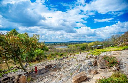 Matabeleland South Apartment | 1 bedroomed Chalet with dam view - 2214