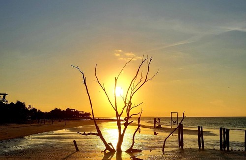 Isla Holbox House | 1 block to the beach, kitchen, smart tv, starlink wi-fi, calm, relaxing