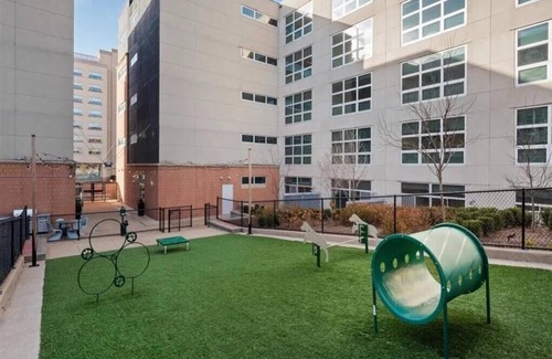 Central West End Apartment | 1 BR Loft Near Central West End, Walk to BJC