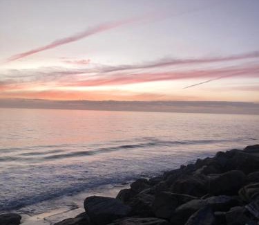 Glenelg South Apartment | 1 BR Oceanview - Glenelg South