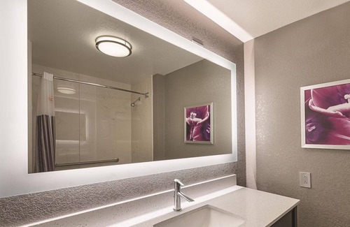 Arlington Hotel | 1 King Bed, Deluxe Room, La Quinta Inn, Pet-Friendly Comfort Near AT&T Stadium