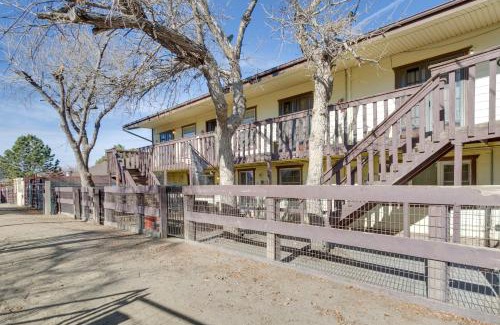Aurora Apartment | 1 Mi to Metro Station Cozy Aurora Horse Farm Apt!