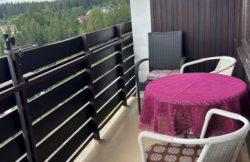 Kniebis Apartment | 1-room apartment Jung Freudenstadt - Kniebis