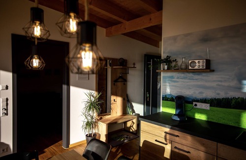 Geisingen Apartment | 1 vacation home Michel, 105 sqm including terrace, 2 bedrooms, max. 5 persons