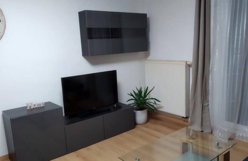 Singen Apartment | 1-Zi. Apartment in Singen (near Lake Constance)
