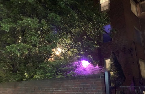 Lindenwood Park House | 10,458 sq ft 15 bedroom / 6 bathroom Home for Groups