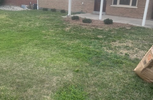 Covedale House | 10 minute from down town , very clean , fresh , an new rental