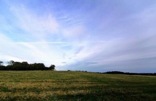 Grønhøj House | 10 person holiday home in Løkken-By Traum