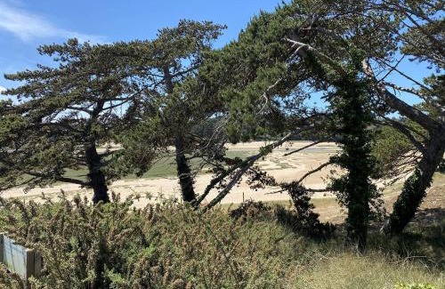 Sables-d'Or-les-Pins Apartment | 109 - Appartement T3 lumineux à quelques mètres de la plage de Sables-D'or-Les-Pins.