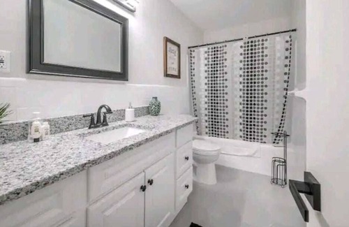 University Apartment | #11 Moffitt Home near USF & BushGardens