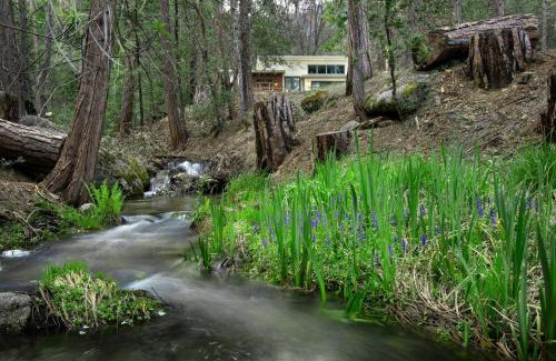 North Wawona Ski Chalet | 11R Spring Meadow Retreat
