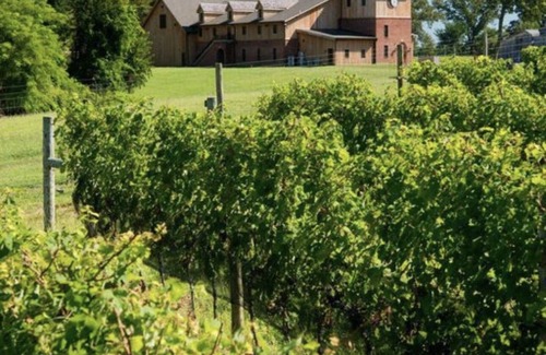 Chesapeake City House | 12 Bedroom Waterfront Historic 1920 Mansion! Pool, hot tub and 400 acres!