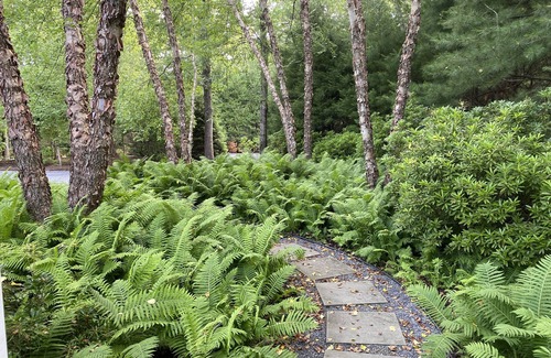 East Hampton House | 125+Acre Nature Preserve Enveloped Sag Harbor Home, 5 BED, 5.5 BATH, POOL