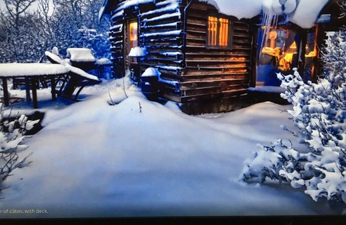 Missouri Heights Cabin | 128 yr.old Cabin in the Mountains overlooking the Roaring Fork Valley.