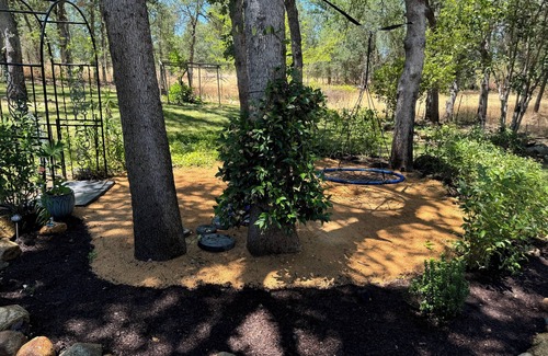 Redding House | 15 min from beautiful Shasta Lake. With lots of wildlife on gorgeous property.