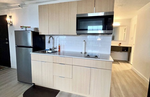 Downtown Baltimore Apartment | 1650/month Sweet Landing, WiFi, fitness room in Baltimore
