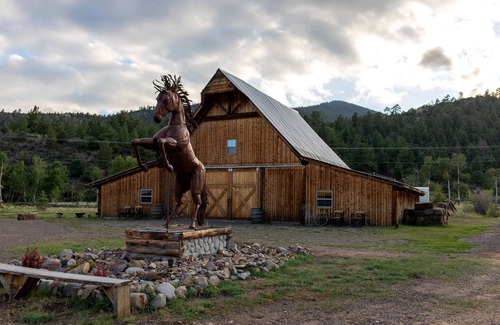Villa Grove Cabin | 17.5 peaceful acres in the heart of the Colorado Rocky Mountains