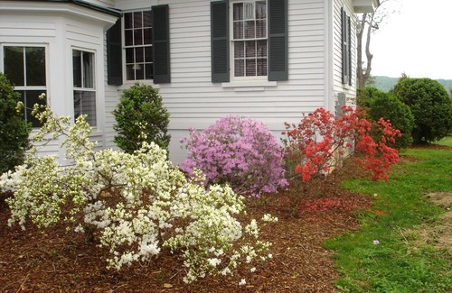 Gordonsville House | 1856 Manor House on 600-Acre Working Horse/Cattle Estate