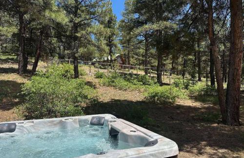 Pagosa Springs House | 195 Wilderness