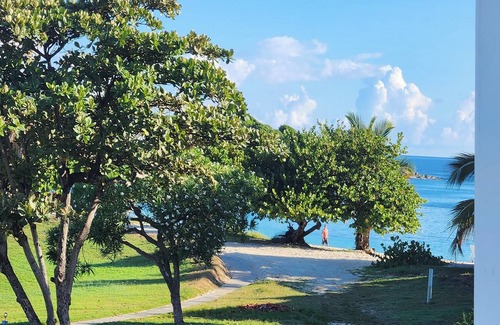 Red Hook Apartment | 1BD/2BA Tropical Seaside Escape, 40 yards from Sapphire Beach!