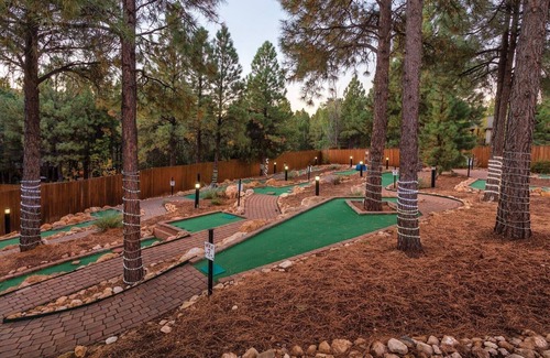 Flagstaff Condo | 1BD/Flagstaff w/Full Kitchen, W/D, Sleeper Sofa & Amazing Amenities!