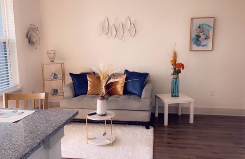 NoDa Apartment | 1Bdr unit Noda Free wifi & Parking is Gated