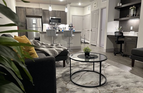Spring Branch East Apartment | 1BR QUEEN PREMIERE SUITE - FREE WIFI