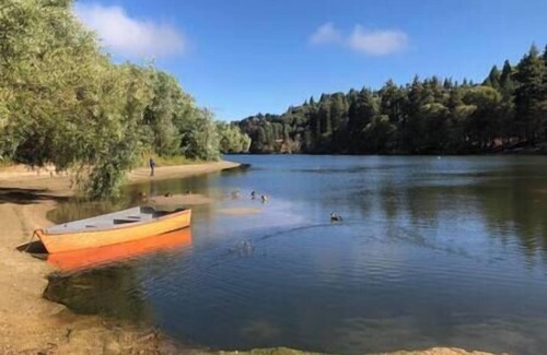 Crestline Apartment | 1st Floor - 1 mile from San Moritz Lodge