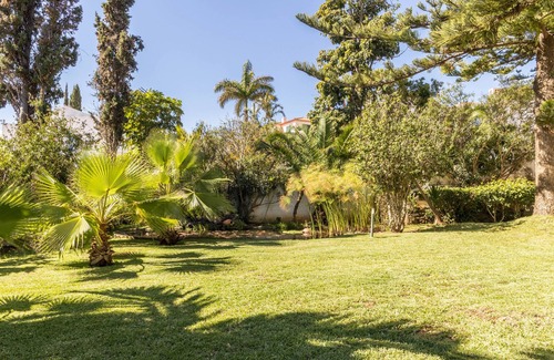 Canico Apartment | 1st floor apartment 'Villa Echium T2' with two bedrooms and shared garden
