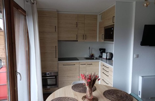 La Joue du Loup Apartment | 1st floor, parking, tv, ski locker, 32m², La Joue du Loup