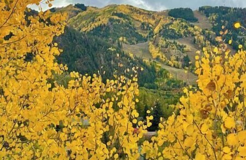 Aspen Apartment | 2/2 Condo Aspen Core Condo, Walk to Everything!