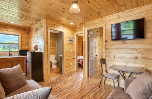 Waynesville Cabin | 2 BD 1 BA Efficiency Cabin Views Easy Paved Access, Cable, WIFI Close to Town