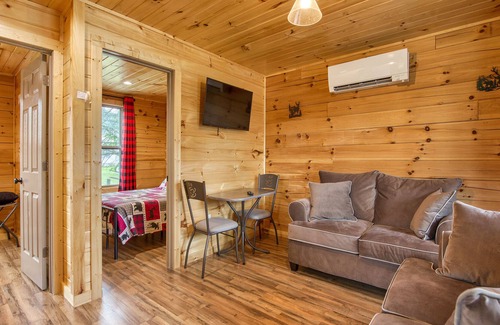 Waynesville Cabin | 2 BD1 BA Efficiency Cabin Views Easy Paved Access Cable WIFI Close to Town