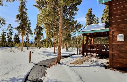 Leadville Cabin | 2 Bed Cabin, Fireplace, Lodgepole Pines