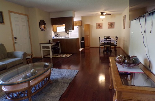 Springfield House | 2-bed-CENTRAL location, 1 sm pet ok, WiFi-Long Term A +
