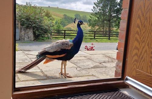 Brecon House | 2 Bed in Lower Chapel 94567
