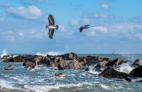 Fort Pierce Apartment | 2 Bedroom-1.5 Bath Apartment Steps away from Beach & Inlet d