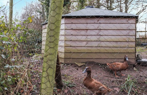 Llangefni Cottage | 2 bedroom accommodation in Rhosmeirch, near Benllech