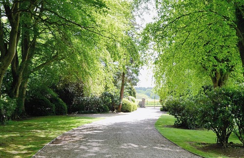 Brechin Cottage | 2 bedroom accommodation in Edzell, near Brechin