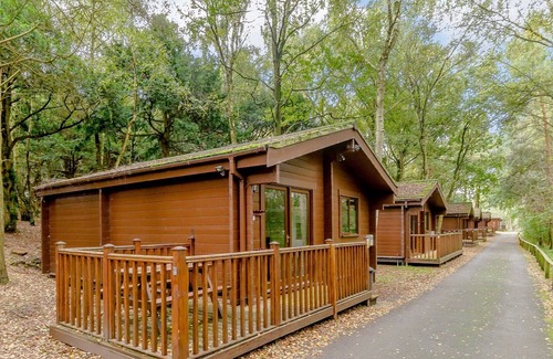 Edwinstowe Cabin | 2 bedroom accommodation in Sherwood Forest, Rufford