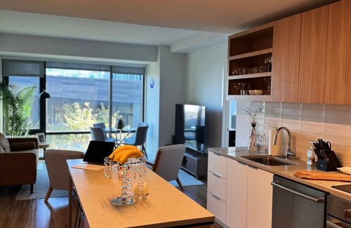 Seaport District Apartment | 2-bedroom apartment in enchanting seaport boston