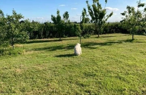 Tilney Fen End Cottage | 2 bedroom Holiday home in Norfolk, private field