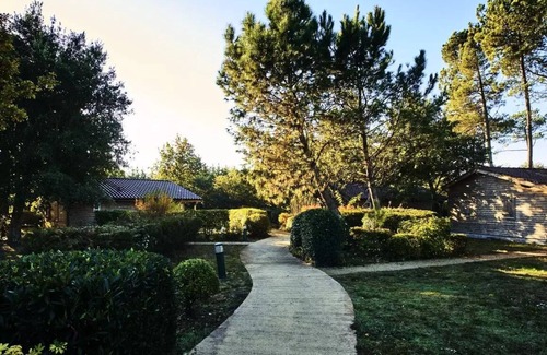 Parentis-en-Born Apartment | 2 Bedroom Premium Apartment 4 People